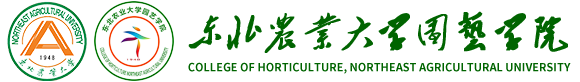 美加墨世界杯官网